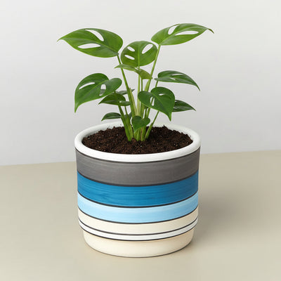 Ceramic pot with horizontal stripes on a neutral background with a plant and green leafs