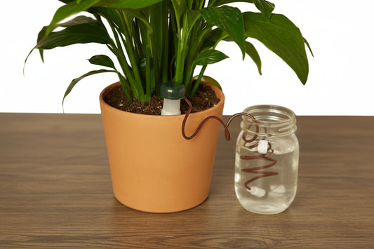 Potted plant with a water reservoir and a glass jar attached, on a white background