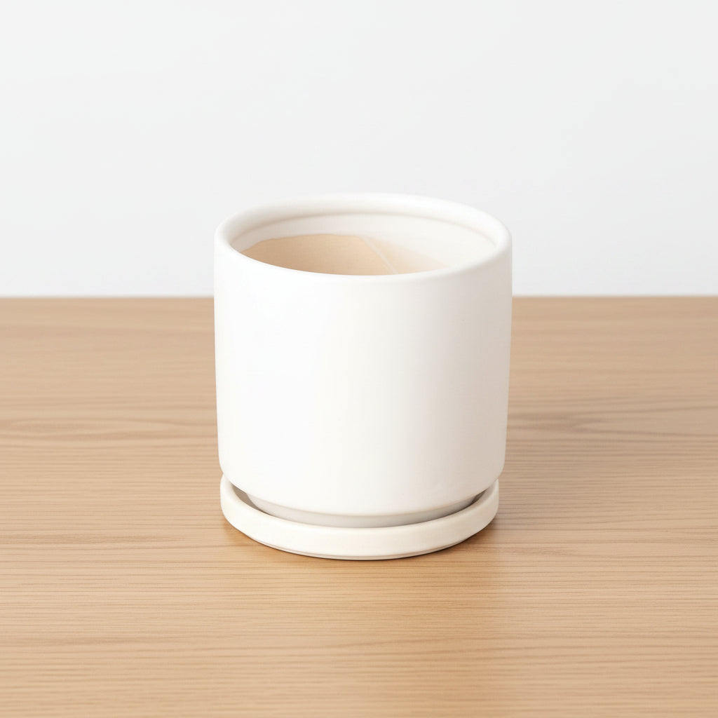 White ceramic pot on a white background