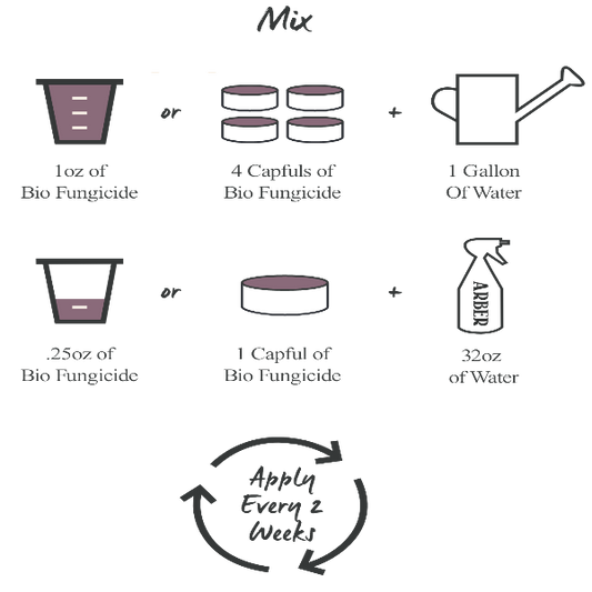 Diagram showing two mixing ratios for Arber Bio Fungicide: 1oz or 4 capfuls with 1 gallon water, and 0.25oz or 1 capful with 32oz water. Apply every 2 weeks.