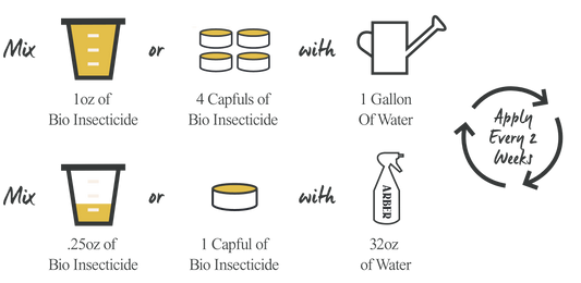 Diagram showing two ways to mix Arber Organic Insecticide: 1oz with 1 gallon water or .25oz with 32oz water, applied every 2 weeks.