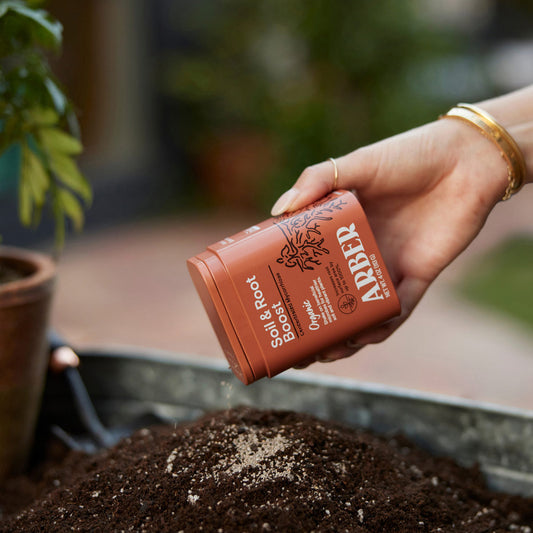 Hand shaking organic ARBER Soil & Root Boost from a brown metal tin onto dark soil in a garden.