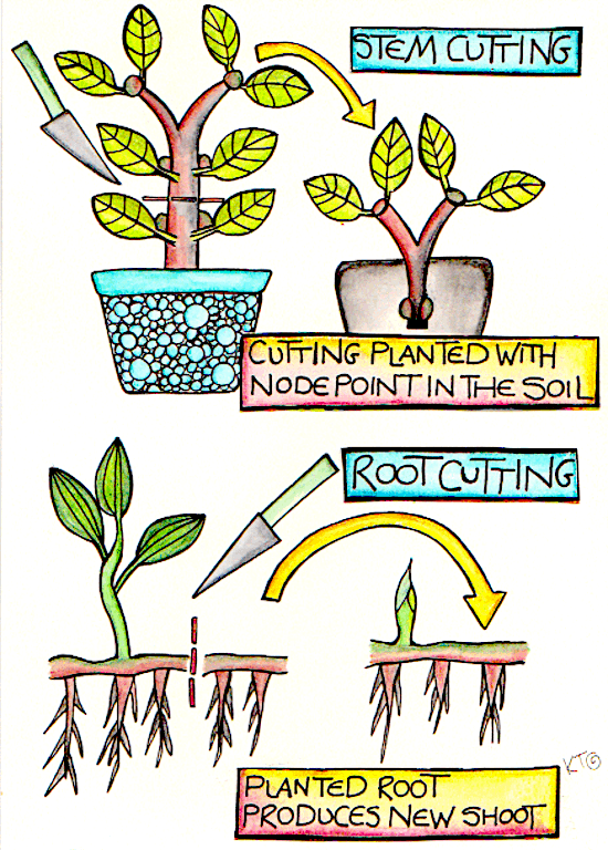 Why Propagation Is Important