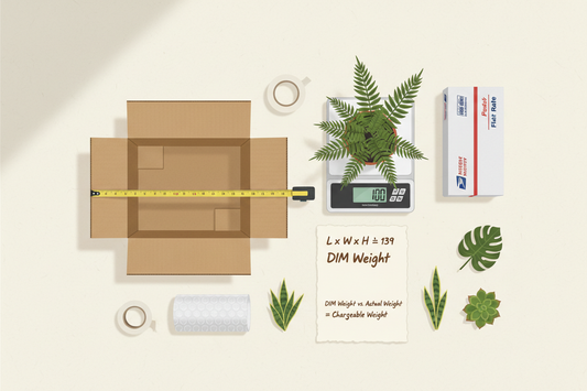 How to Calculate Plant Shipping Costs: A Complete Guide