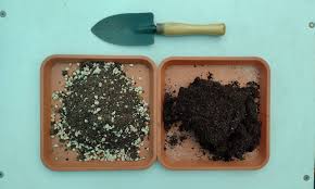 Regular Potting Soil Guide: Best Mixes, Amendments & Watering Tips