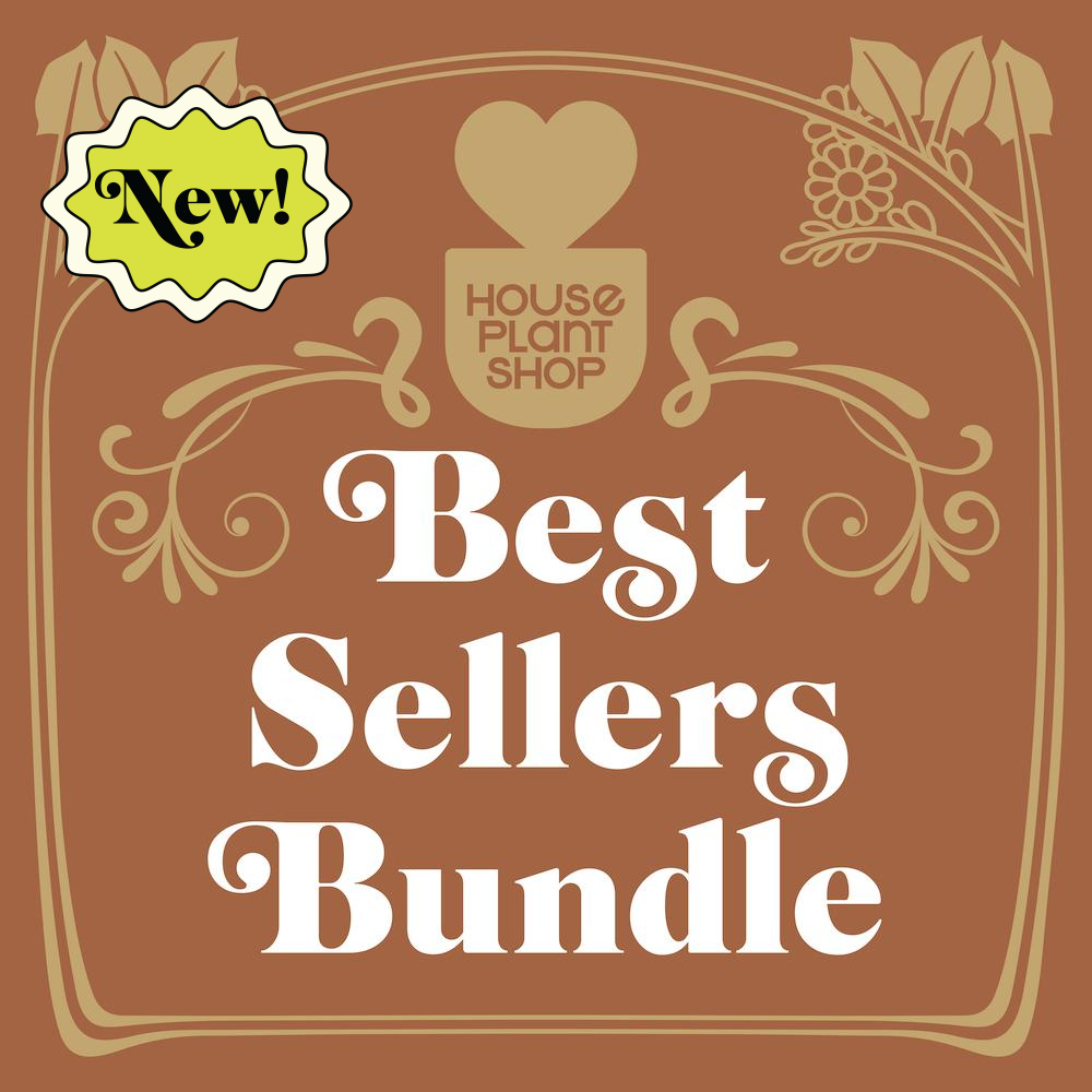 Bundles