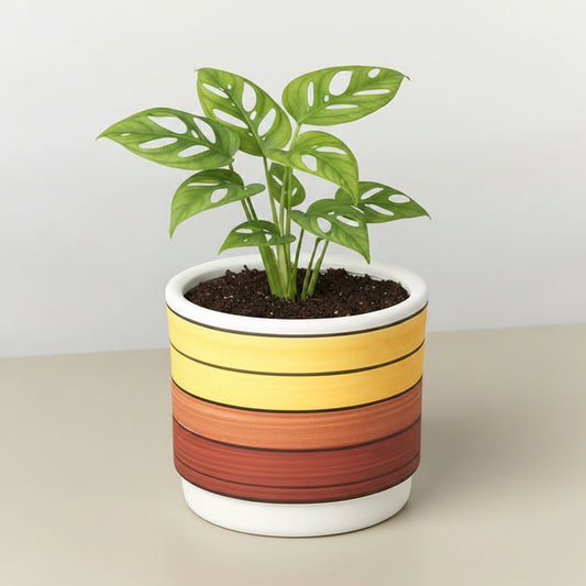 plant with green leaves inside a Ceramic pot with striped design on a neutral background 