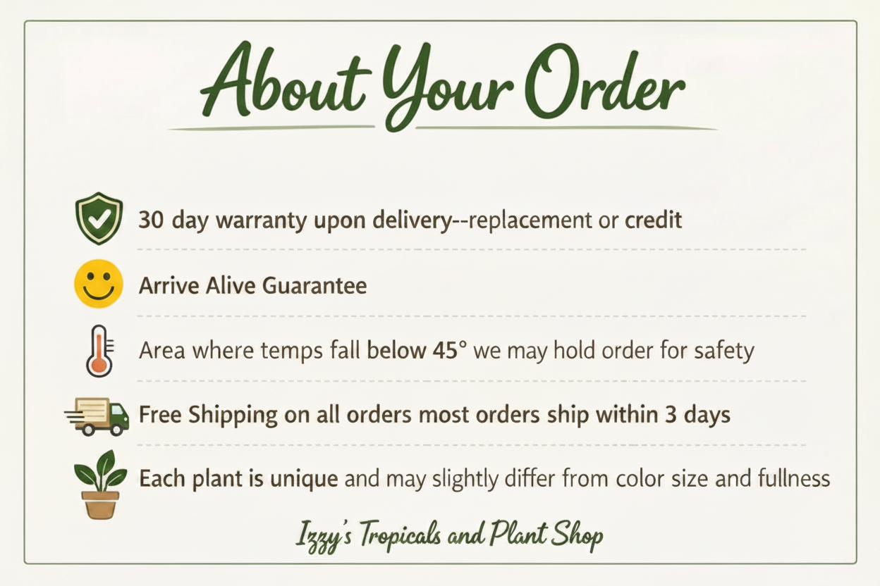 About Your Order