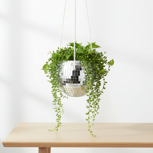 Silver disco ball hanging from a white background