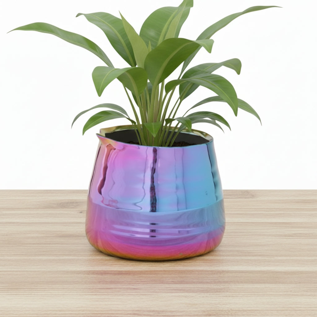 4.5" iridescent stoneware Tegan Pot with an oil-slicked glaze, holding a green plant on a wooden surface.