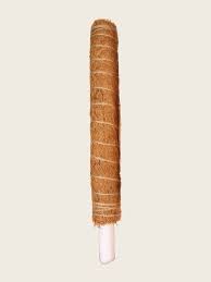22-inch brown coir moss pole with white plastic stake for climbing plants.