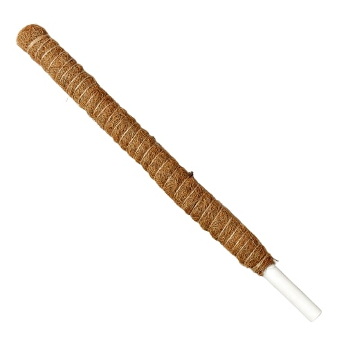 22-inch brown coir moss pole with a white base, designed for climbing plants.