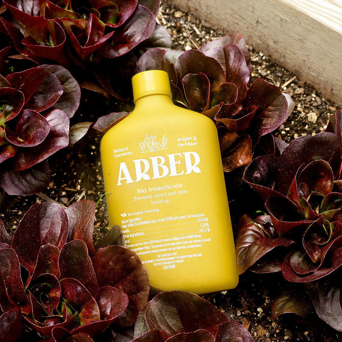 Yellow Arber Bio Insecticide bottle with white text, resting among dark red lettuce plants in a wooden planter.