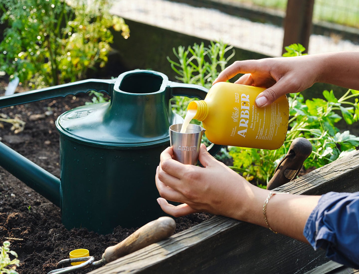 Hands pouring yellow Arber Organic Insecticide from a bottle into a small silver measuring cup, next to a green watering can in a garden bed.