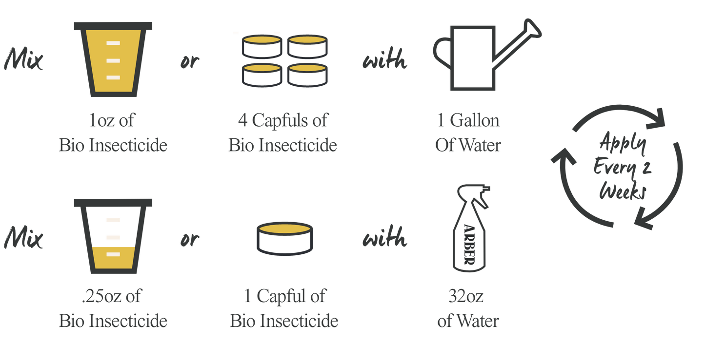Diagram showing two ways to mix Arber Organic Insecticide: 1oz with 1 gallon water or .25oz with 32oz water, applied every 2 weeks.