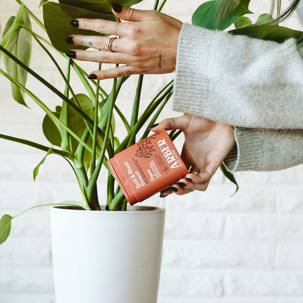 Hands in a gray sweater hold an orange "Soil & Root Boost" shaker over a white potted Monstera plant.