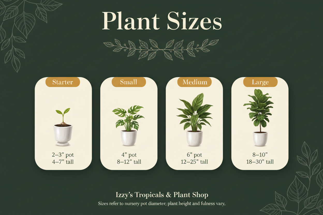 Plant Size Chart – Izzy's Tropicals Premium