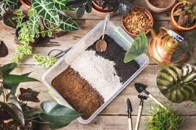 Terrarium kit with soil, pebbles, and plants on a wooden surface