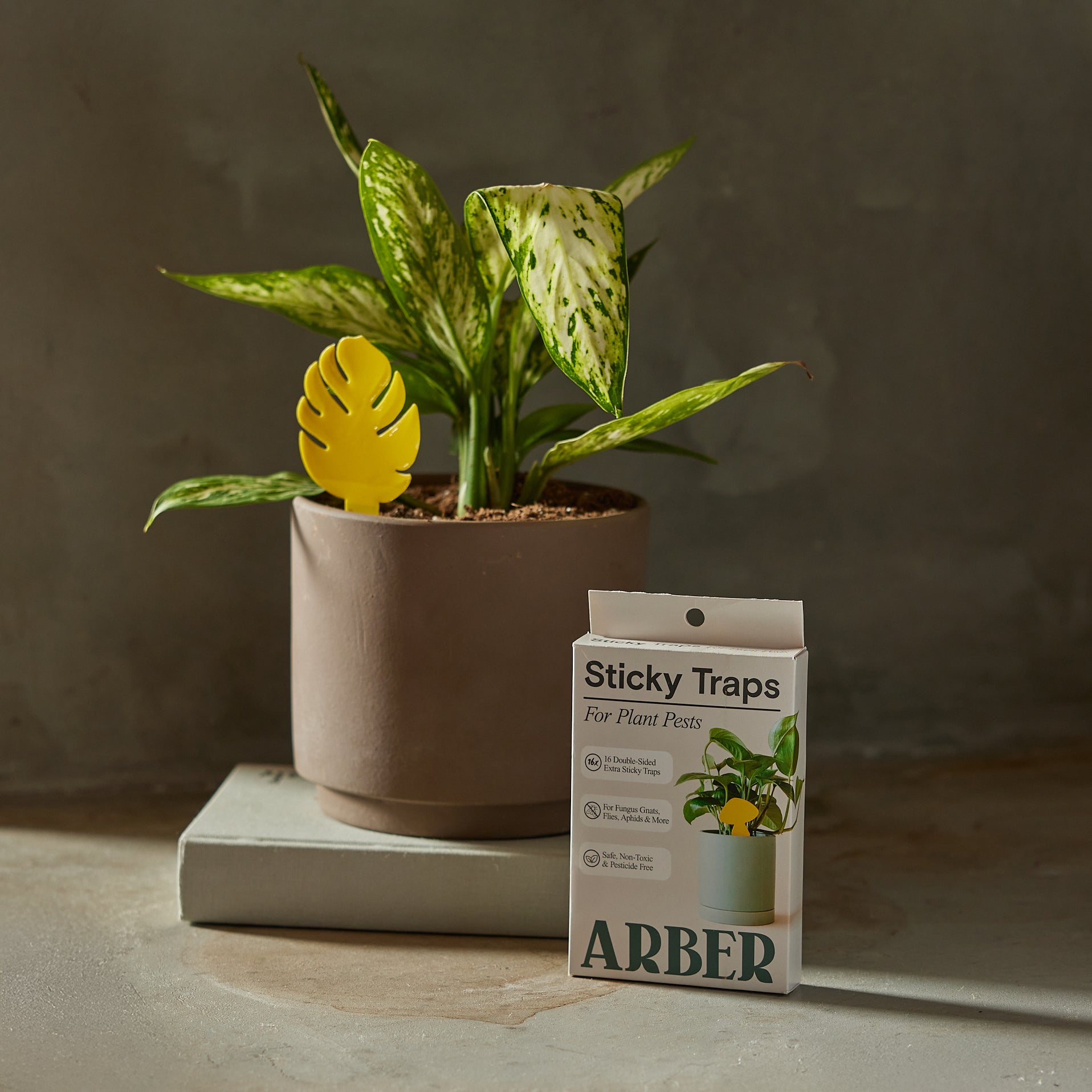 Yellow leaf-shaped sticky trap in a plant pot with a white box of "Sticky Traps for Plant Pests.